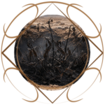 chann-thrav_flora_blackherbs