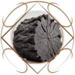 chann-thrav_smith_schwarzbaum