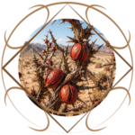 khylias_flora_thorns