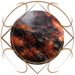 vynhyra_flora_moos